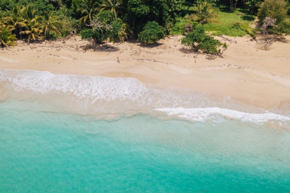 Chapitre 19 : Immobilier à Bocas Del Toro : les bonnes affaires au bord de l'océan des Caraïbes abondent !